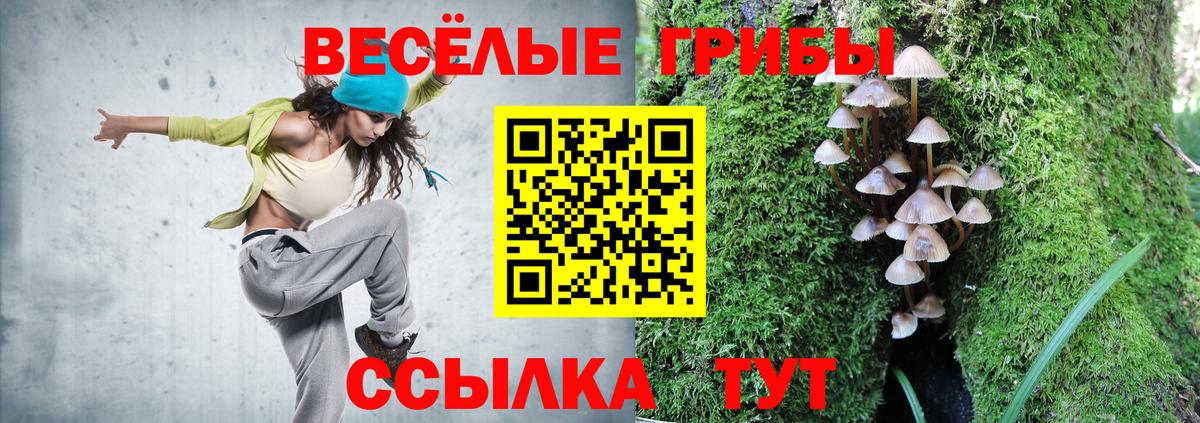 Псилоцибиновые грибы мухоморы Прохладный