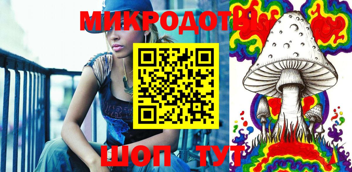 Прохладный  Псилоцибиновые грибы Psilocybine cubensis  Вход с VPN 